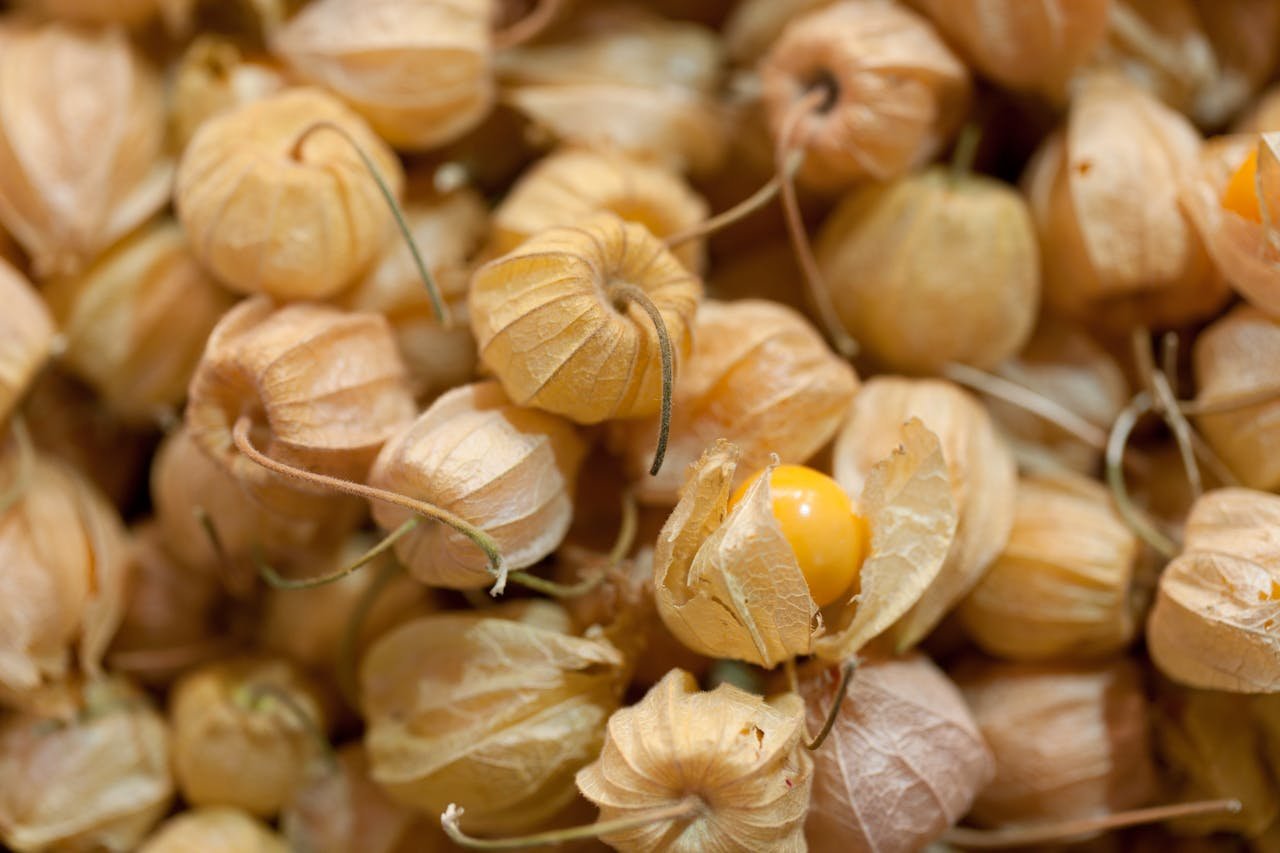 Read more about the article Golden Berry: Types, Nutrition, Benefits, Uses, and Side Effects