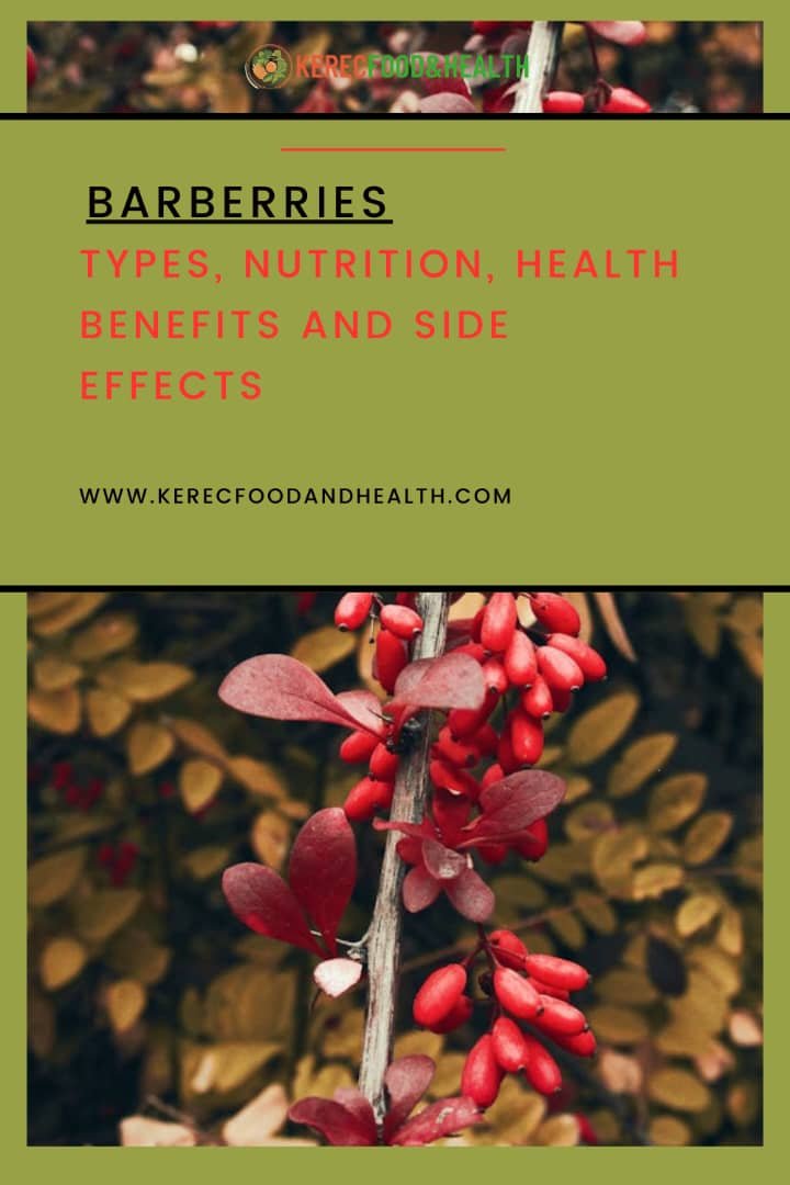 Read more about the article Barberry Nutrition, Health Benefits, and Side Effects