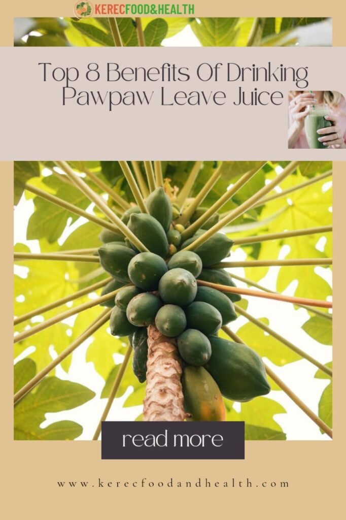 pawpaw leaf juice