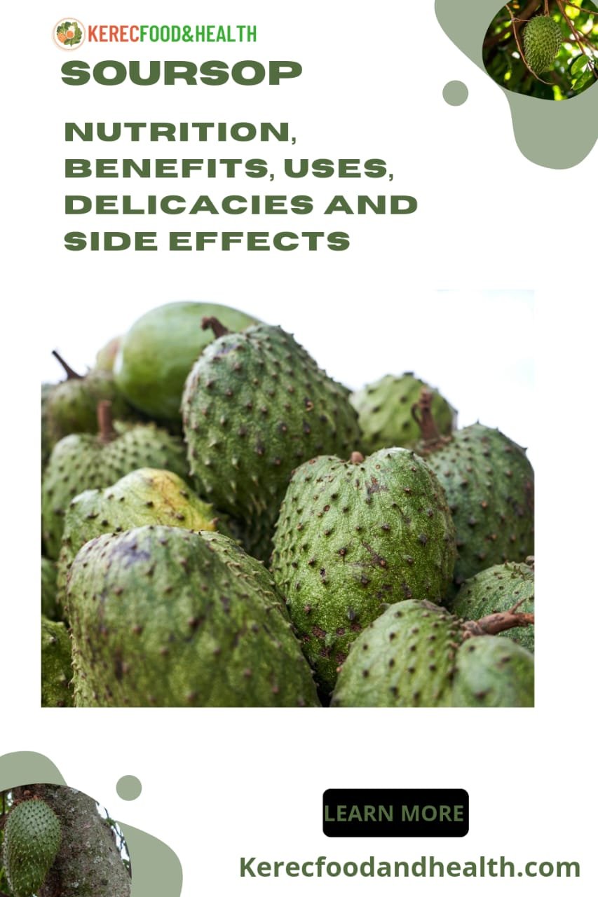 Read more about the article Soursop: Nutrition, Benefits, Uses, Delicacies and Side Effects