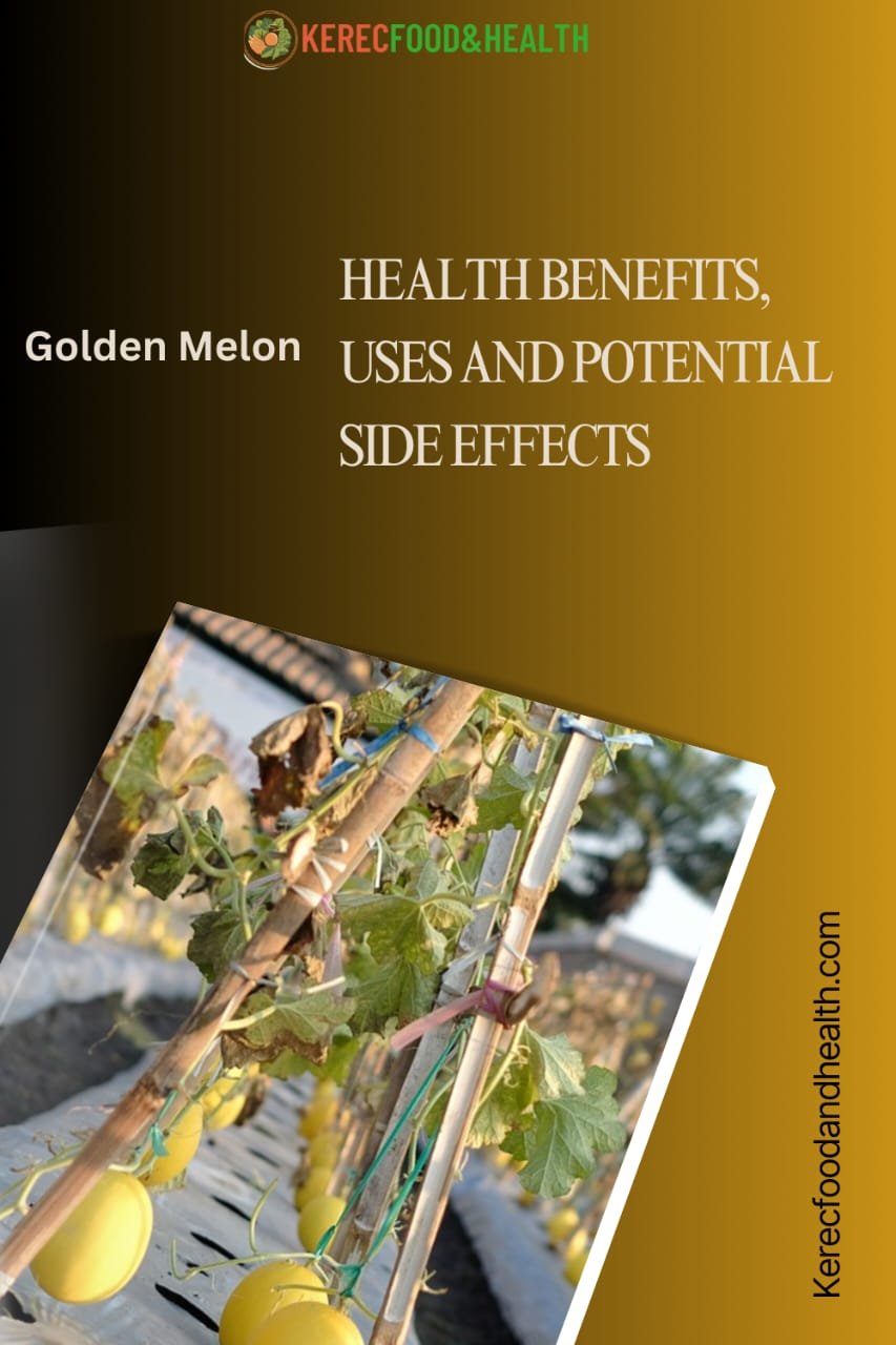 Read more about the article Golden Melon: Health Benefits, Uses and Potential Side Effects