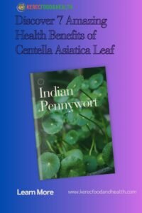 Read more about the article Discover 7 Amazing Health Benefits of Centella Asiatica Leaf: Nature’s Secret for Wellness