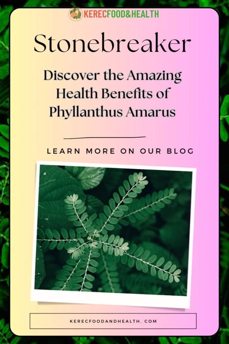 Phyllanthus amarus (Stone breaker)