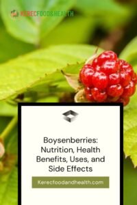 Read more about the article Boysenberries: Nutrition, Health Benefits, Uses, and Side Effects
