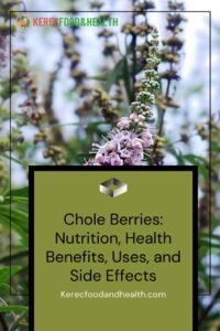 Read more about the article Chole Berries: Nutrition, Health Benefits, Uses, and Side Effects