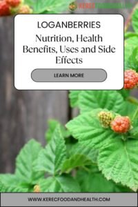 Read more about the article Loganberries: Nutrition, Health Benefits, Uses and Side Effects