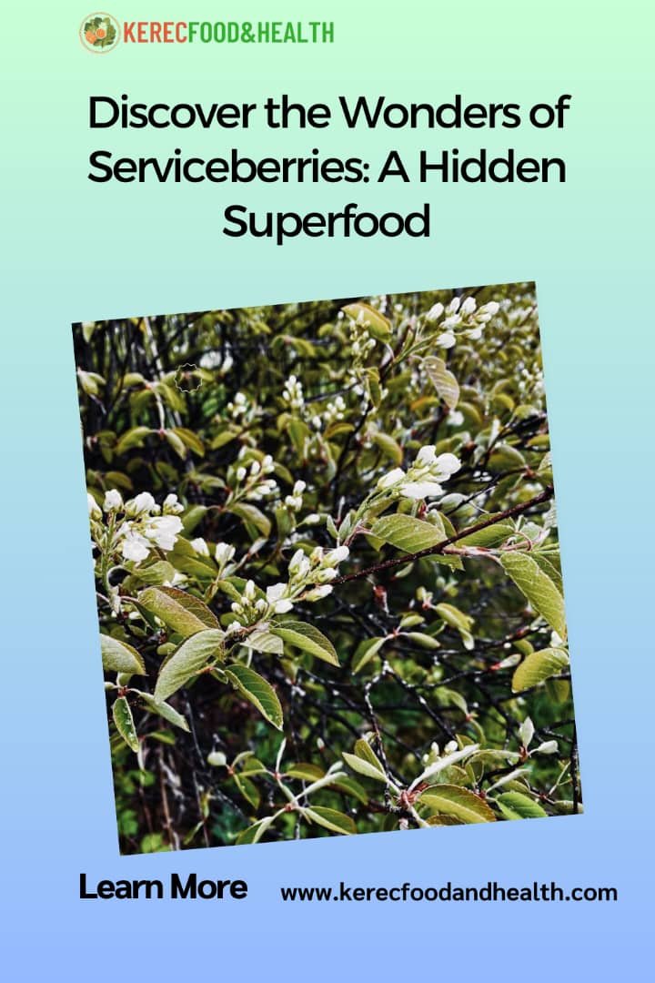 You are currently viewing Discover the Wonders of Serviceberries: A Hidden Superfood