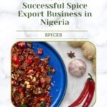 How to Start a Successful Spice Export Business in Nigeria